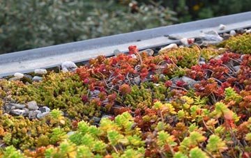 the cost of Dales Brow green roof installation