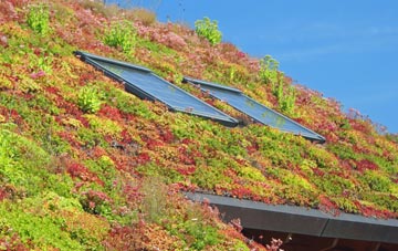 Dales Brow living roof systems