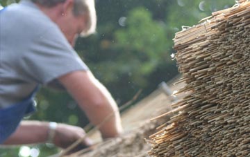 professional Dales Brow thatchers