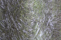 Dales Brow fibreglass roof work